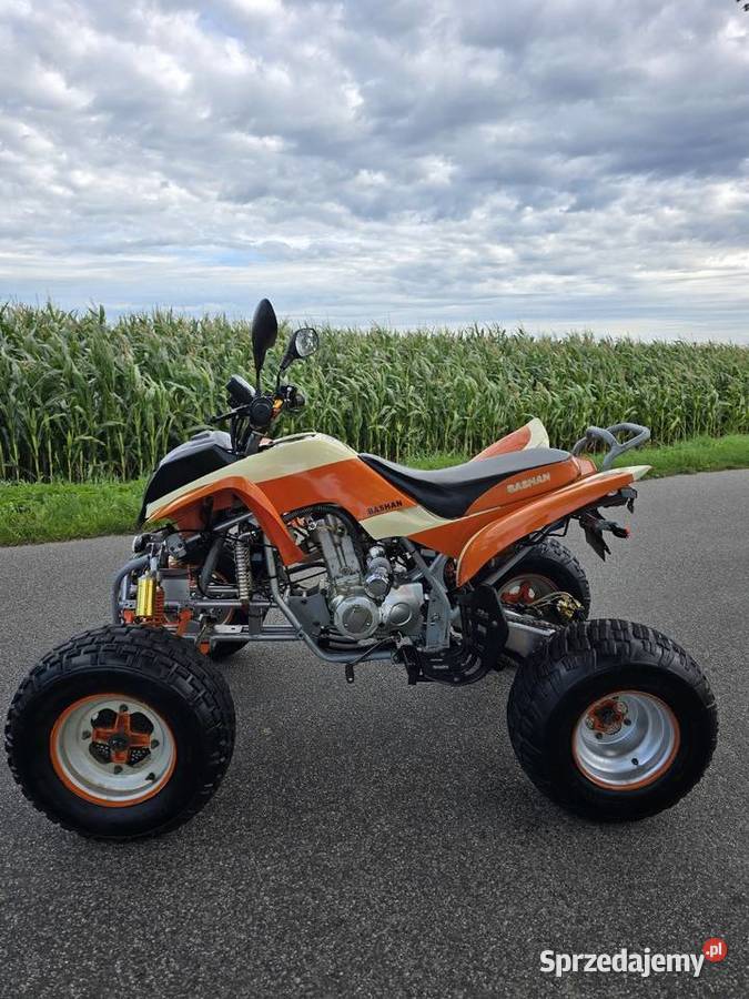 Quad Bashan 250cc Ciecz Manual 41r duża rama 250cm3 Kruszwica sprzedam