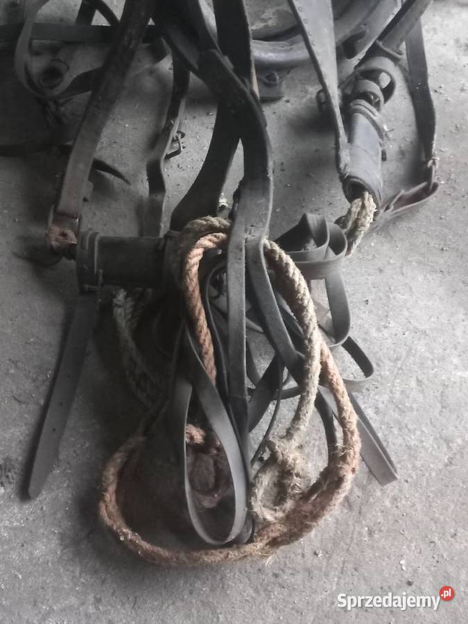 Uprzaz konia Stary Gózd