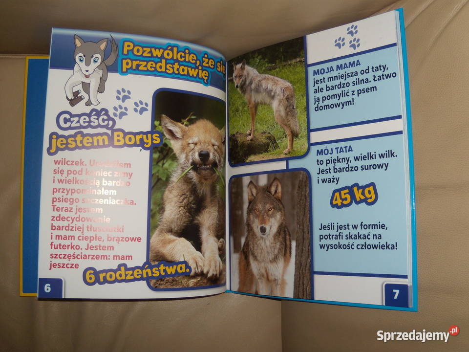 Wilk Borys Świat dzikich maluchów Książki dla dzieci mazowieckie Warszawa
