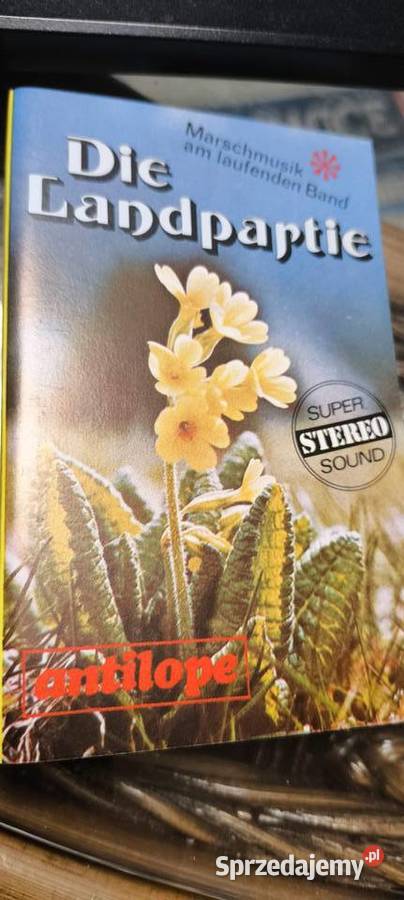 Impreza wiejskaw górach kasety x2die landpartie etno/folk śląskie Gliwice