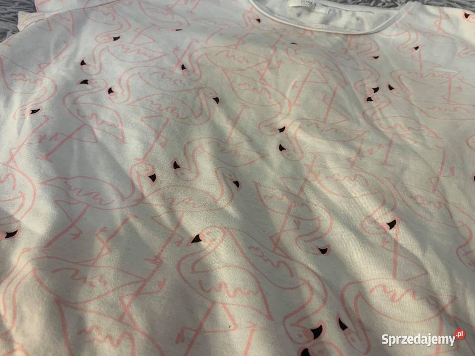 Tshirt koszulka bluzka z flamingami 146152 HIT podkarpackie