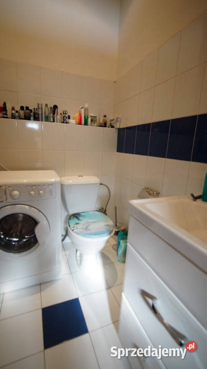 Do wynajęcia mieszkanie 150 m2 w Centrum Opola Opole