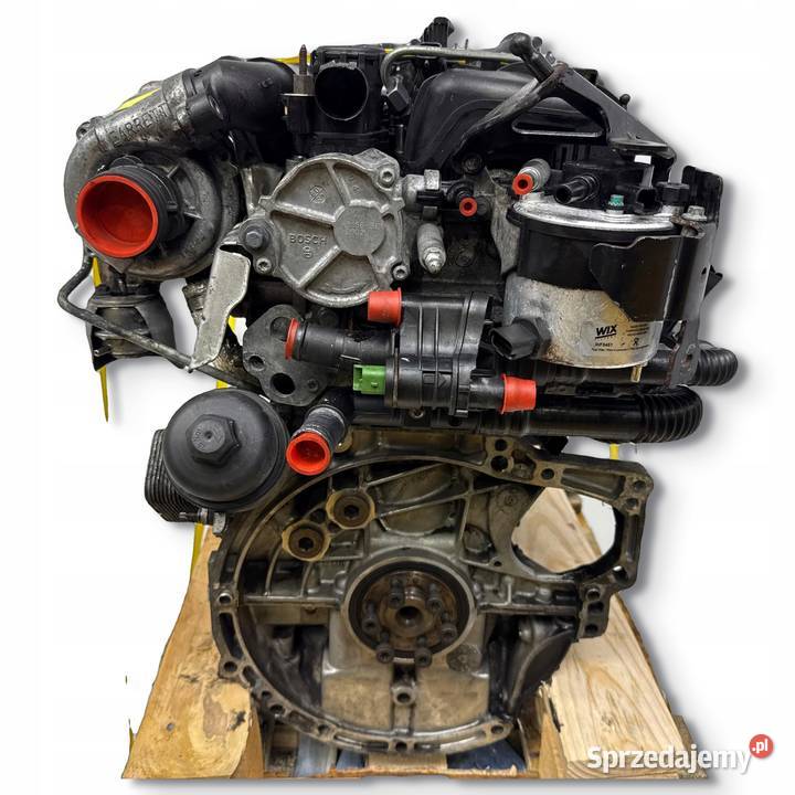 SILNIK KOMPLETNY G8DD Ford Focus II MK2 C C 16 Chełm sprzedam