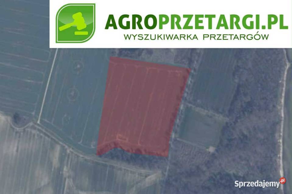 Dzierżawa 731 ha gruntu rolnego Puck sprzedam
