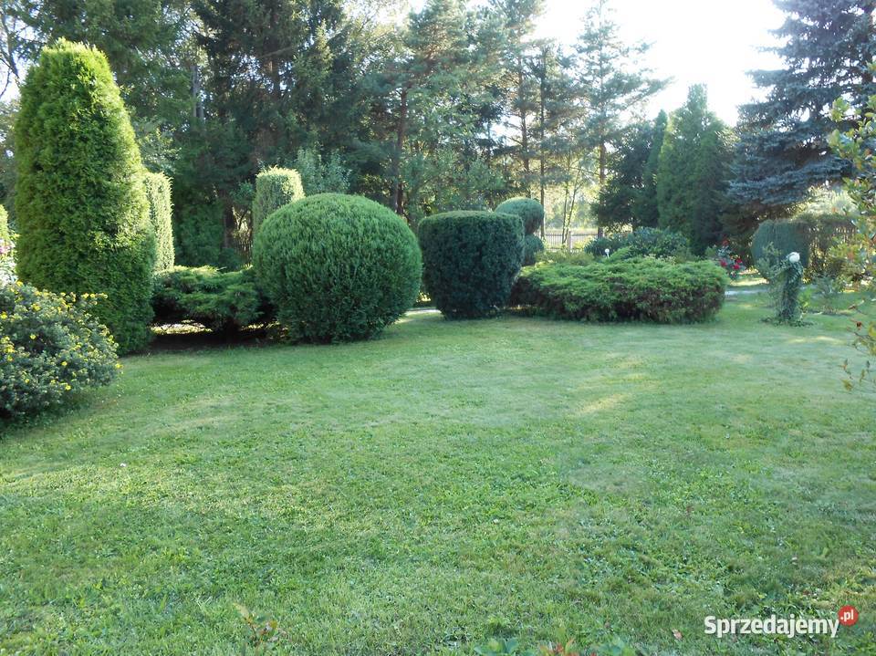 Kamienna Góra dom z ogrodem garażdziałka