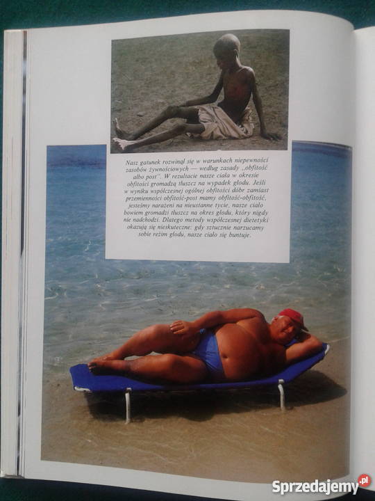 ZWIERZĘ ZWANE CZŁOWIEKIEM Desmond Morris Książki naukowe i popularnonaukowe Leszno