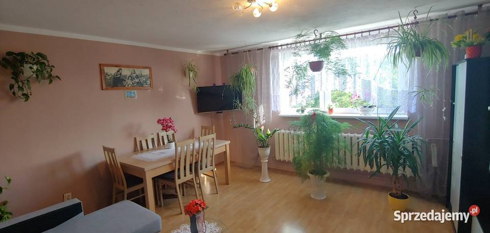 Mieszkanie na sprzedaż Kusice 3 pokoje z Piętro 3 sprzedam