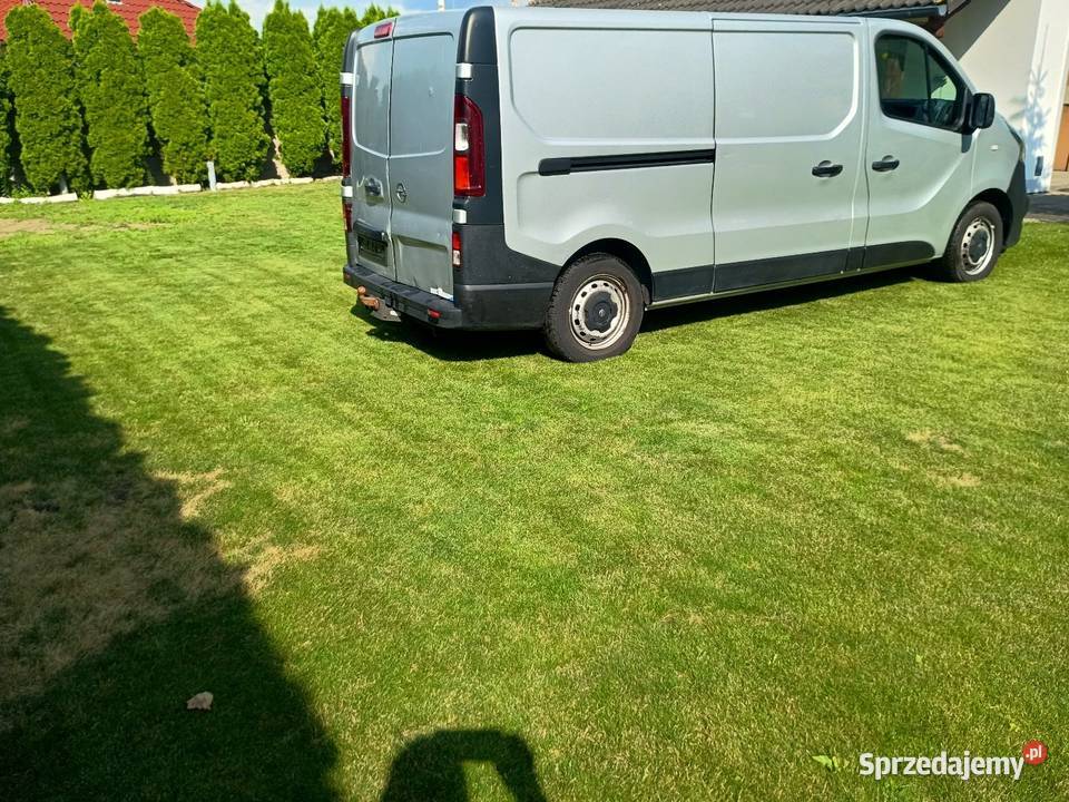 Vivaro long centralny zamek kujawsko-pomorskie