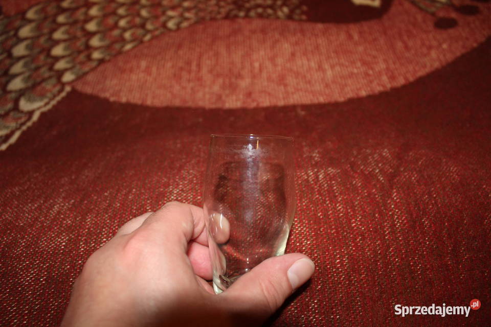 Literatki Szklane PRL 6 sztuk Chorzów