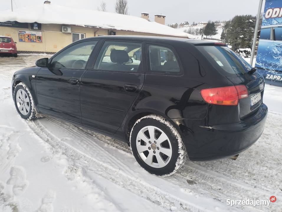 Audi A3 8P 16 B 115 Rzeszów