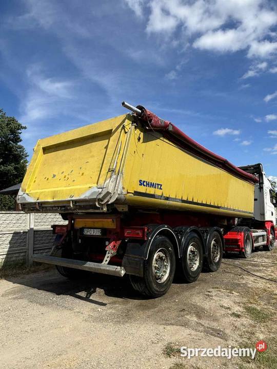 Scania naczepa zestaw Kusięta