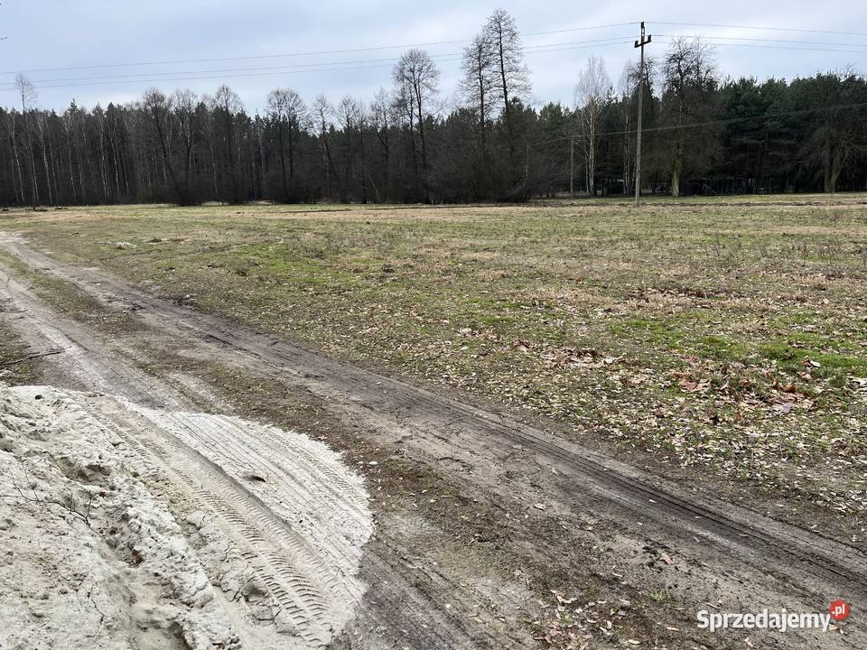 Syndyk Sprzeda Nieruchomość Pszczółki - Sprzedajemy.pl