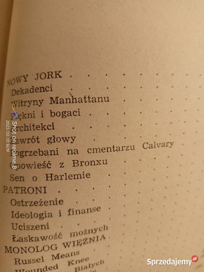 Duża i mała Ameryka Skowron książki pierwsze miękka Warszawa