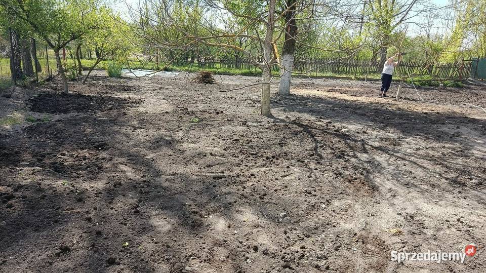 Siedlisko dom drewniany obora stodoła Niedziałowice Pierwsze