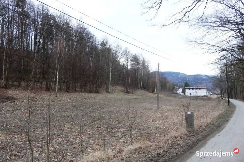 Działka budowlana Głębock Karkonosze 6584m2 Sprzedaż