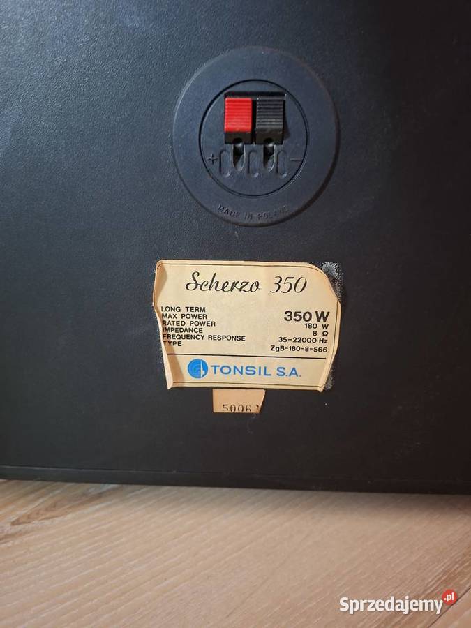 Kolumny Scherzo 350 Toruń