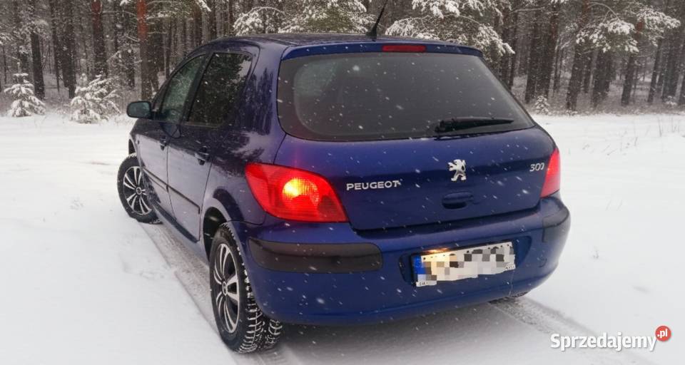 Peugeot 307 16 LPG Zamiana Motoryzacja Bochnia