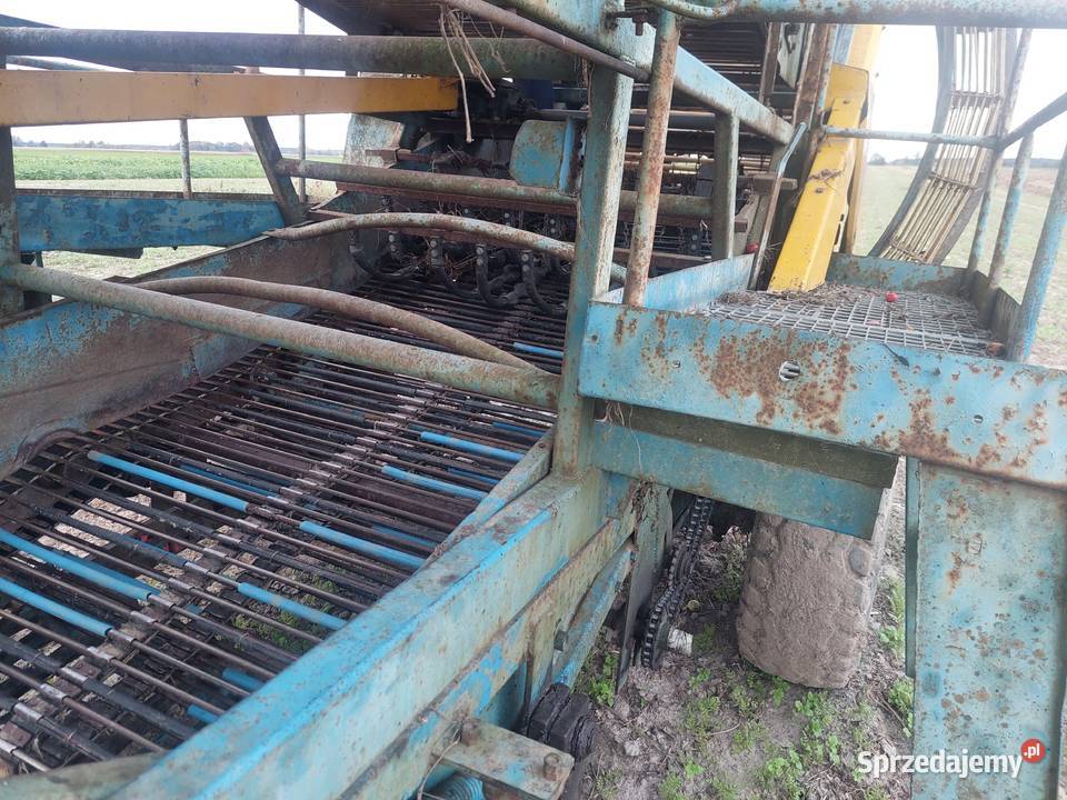 Kombajn do pomidorów cebuli buraczków warzyw Aleksandrów Kujawski