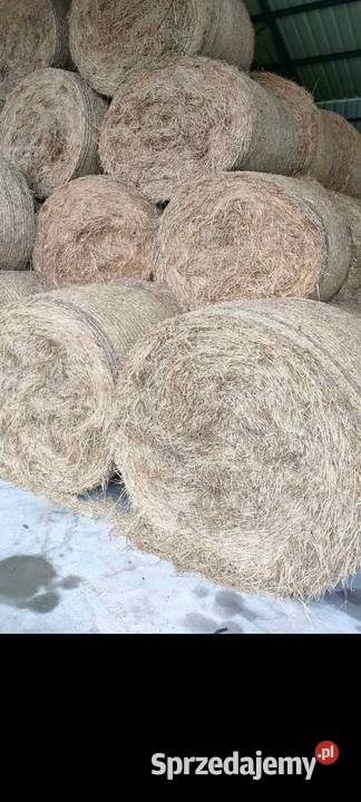 Siano suche z pod dachu Transport FV Trawy, słoma