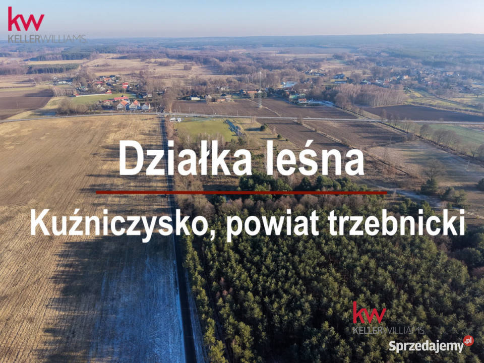Sprzedam działka Kuźniczysko 20200m2
