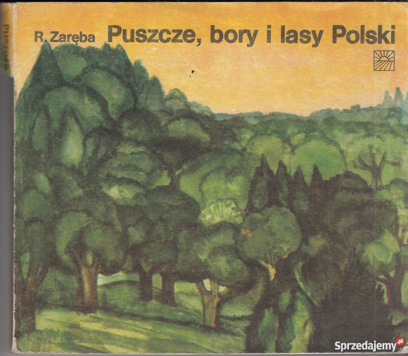 03162 PUSZCZE BORY I LASY POLSKI RYSZARD ZARĘBA Czyrna
