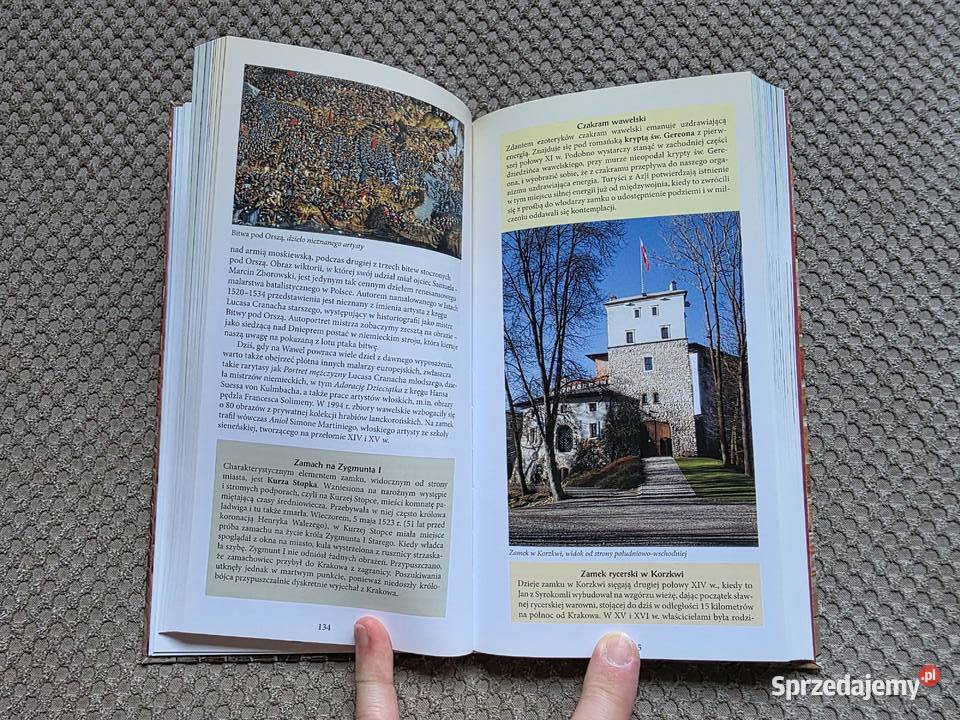 Śladami słynnych zbrodni przewodnik wyd BOSZ małopolskie Kraków