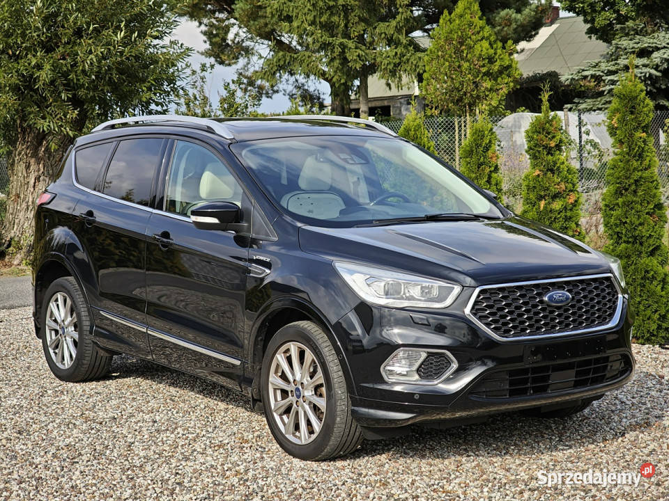 Ford Kuga III 2019 nieuszkodzony