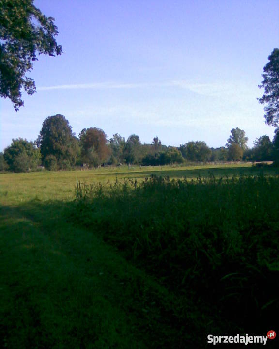 sprzedam gospodarstwo ziemię rolną piwnica mazowieckie Gilówka Dolna