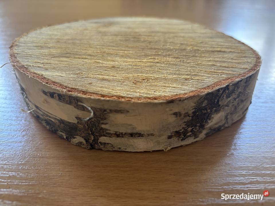 Plastry Krążki Brzozy Kroczyce