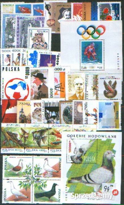 Zn Fi Rocznik 1994 Gliwice