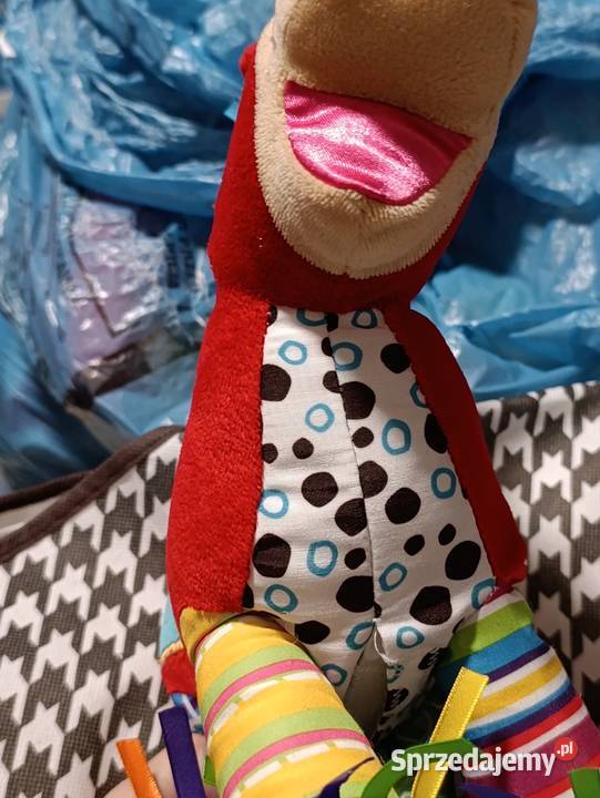 sensoryczna zawieszka Galopujący Poznań