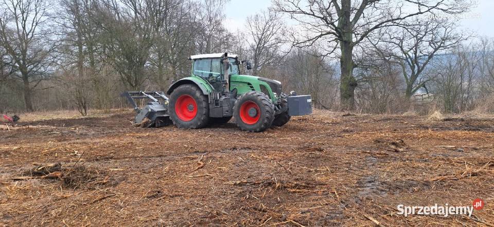 Wycinka drzew Czyszczenie działek Mulczowanie łódzkie