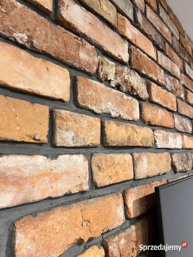 Płytki z cegły rozbiórkowej LICO KLASYCZNE Bytom