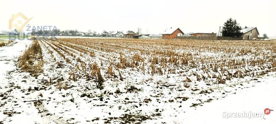 Sprzedam działkę o pow 4606 m2 w Leonowie w mazowieckie Leonów