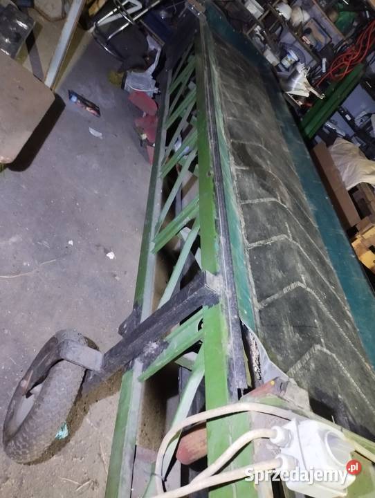 Taśmociąg do różyczkowania brokuła