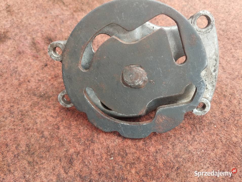PANNONIA PANONIA automat biegów dolnośląskie Głogów