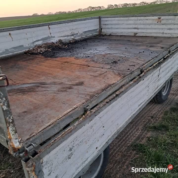 Przyczepa d47 Goleniów