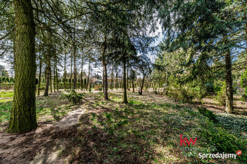 Działka 460m Poznań Lotnisku wielkopolskie