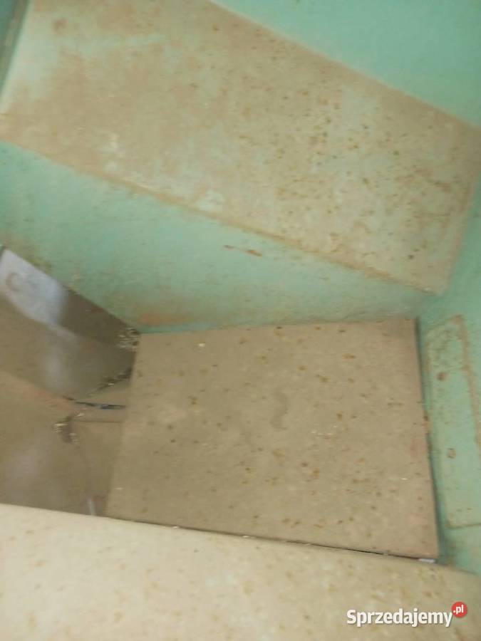 Sadzarka do ziemniaków polska nieuszkodzony Maszyny rolnicze