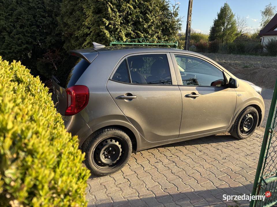 Kia Picanto Business Line 12 Automat Sandomierz