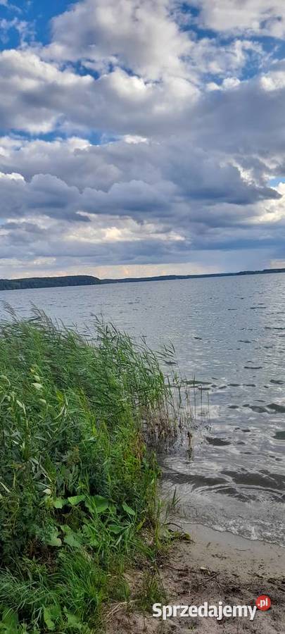 Działka leśna swornegacie Sprzedaż