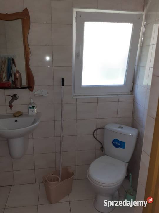 Ogródek działkowy Chorzów