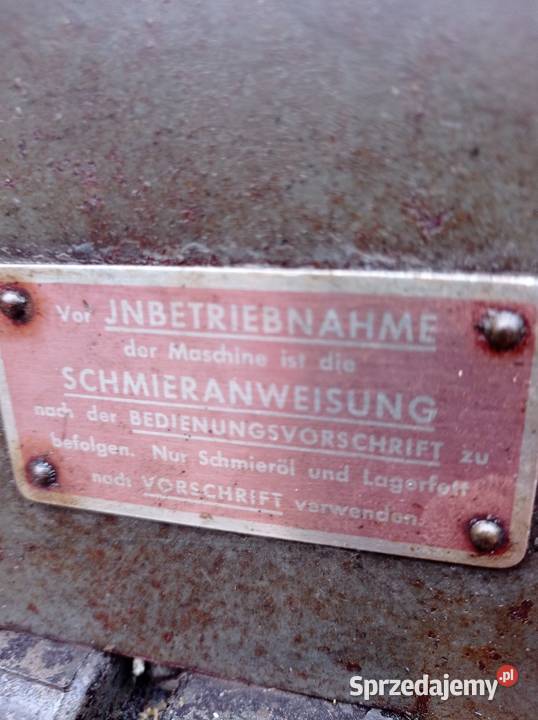 Grubościówka niemiecka Frommia 30 Hrebenne