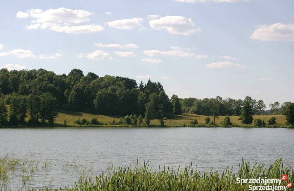 50 ha ziemii z dostępem do jeziora Mazury