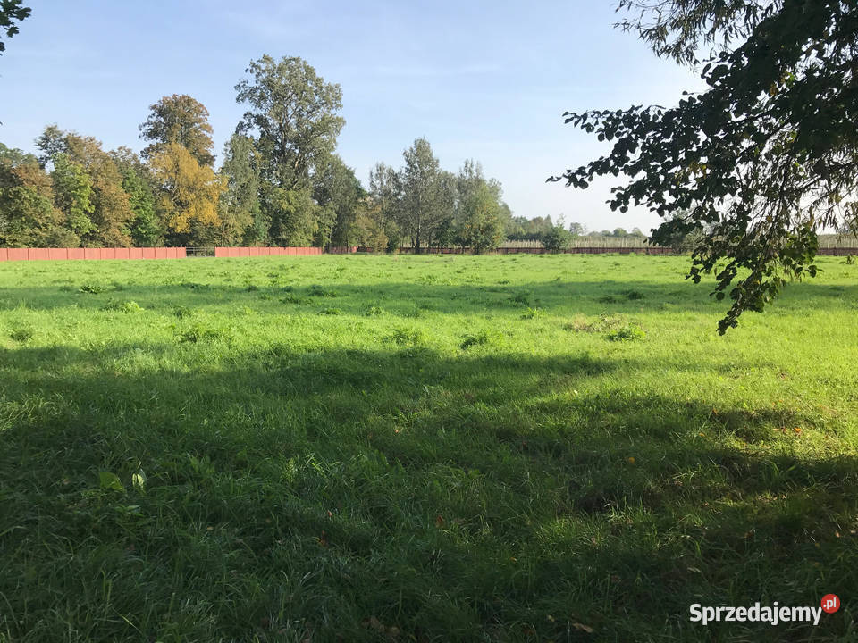 Siedlisko jeziorem pod Warszawą siedliskowa