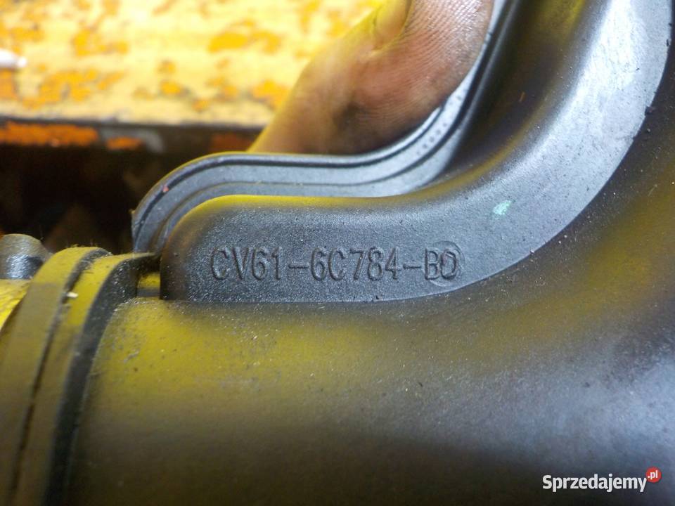 FOCUS MK3 B 10 ECOBOOST 14r 125 M1DA rura Suków