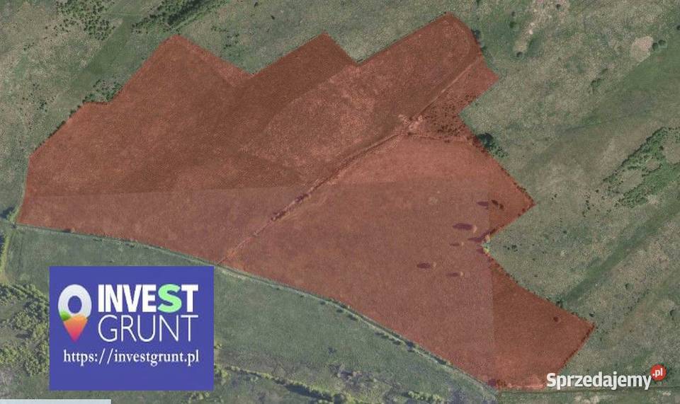 4925 ha przetarg na dzierżawę gruntów rolnych