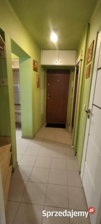 Dwupokojowe mieszkanie na parterze Łódź Bałuty Nieruchomości