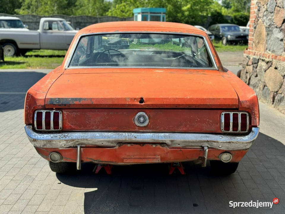 Ford inny Ford Mustang Coupe 1965 Najtańszy w Sulechów