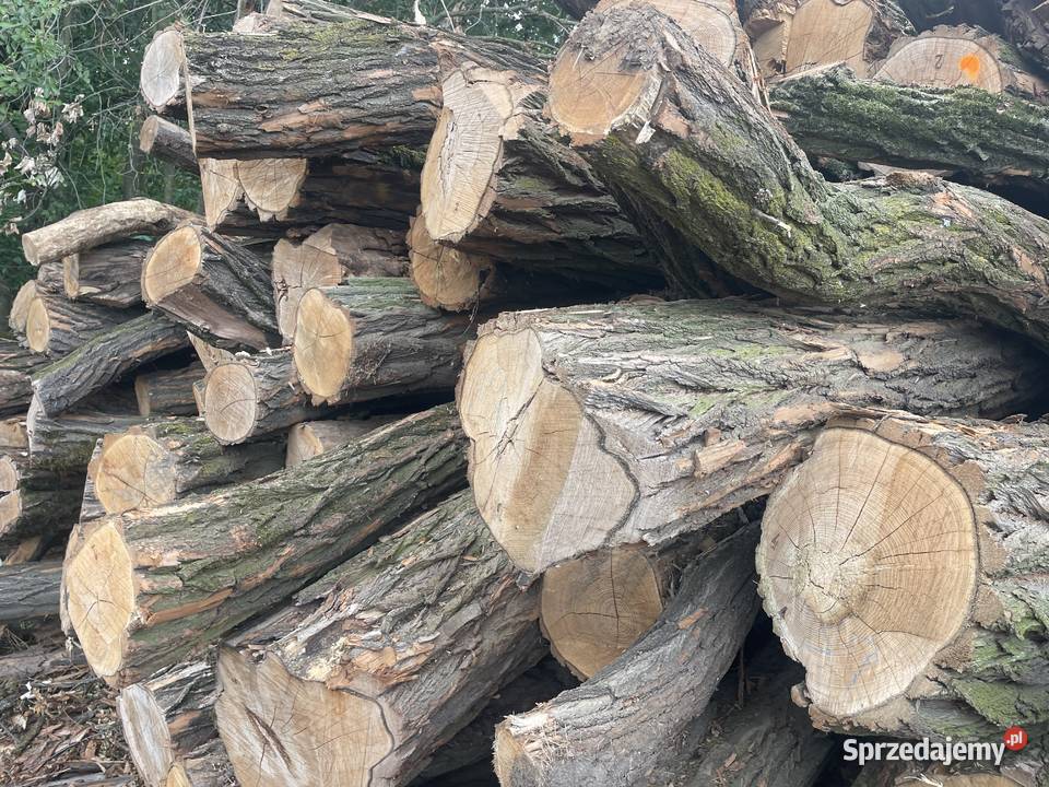 Sprzedam akacje Cieszyny